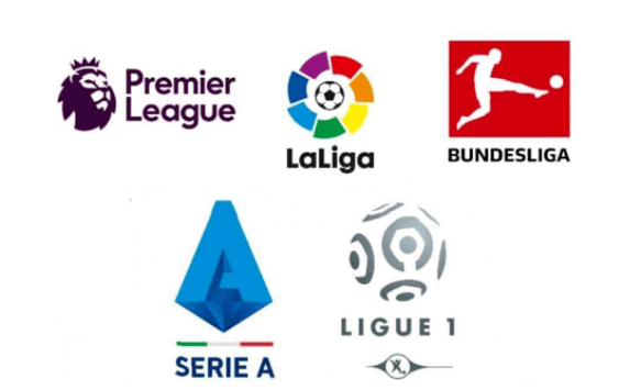 绽放光芒 绽放光芒